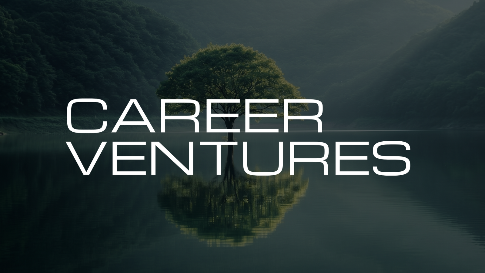 Career Ventures